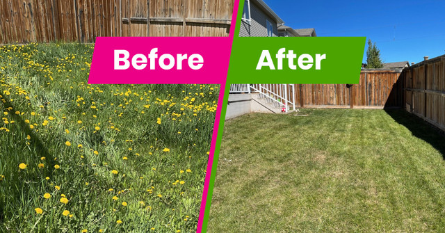 Landscaping- Grass maintenance in Other in Kitchener / Waterloo