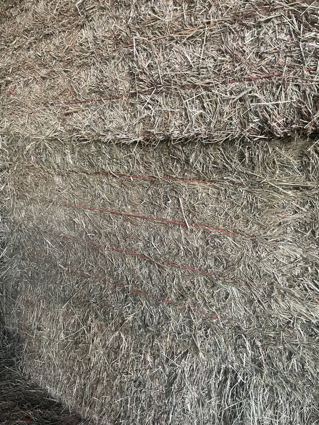 Hay For Sale Livestock Hamilton Kijiji