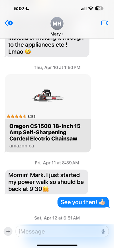 OREGON CS1500 18 inch 15 Amp Self Sharpening Cord Elec Chainsaw, View more