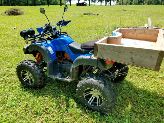 Electric ATV - Daymak Beast Ultimate Edition, in great condition in Other in Owen Sound - Image 3