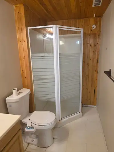 1+Den basement for rent