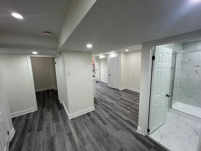 Basment renovation 546142185902592004