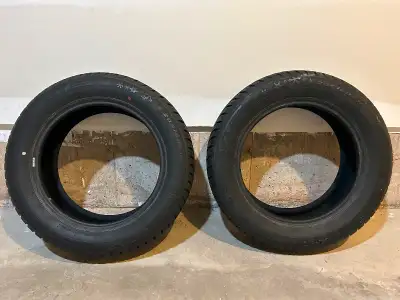 GT Radial Winter Pro 2 205/60R16 Used 2 months