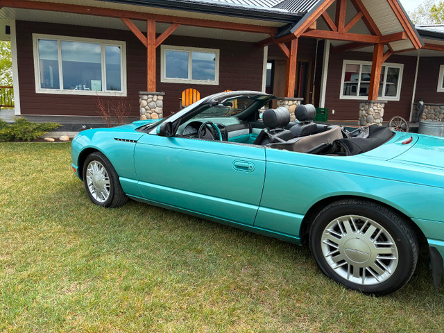 2002 Thunderbird in Cars & Trucks in Calgary - Image 3