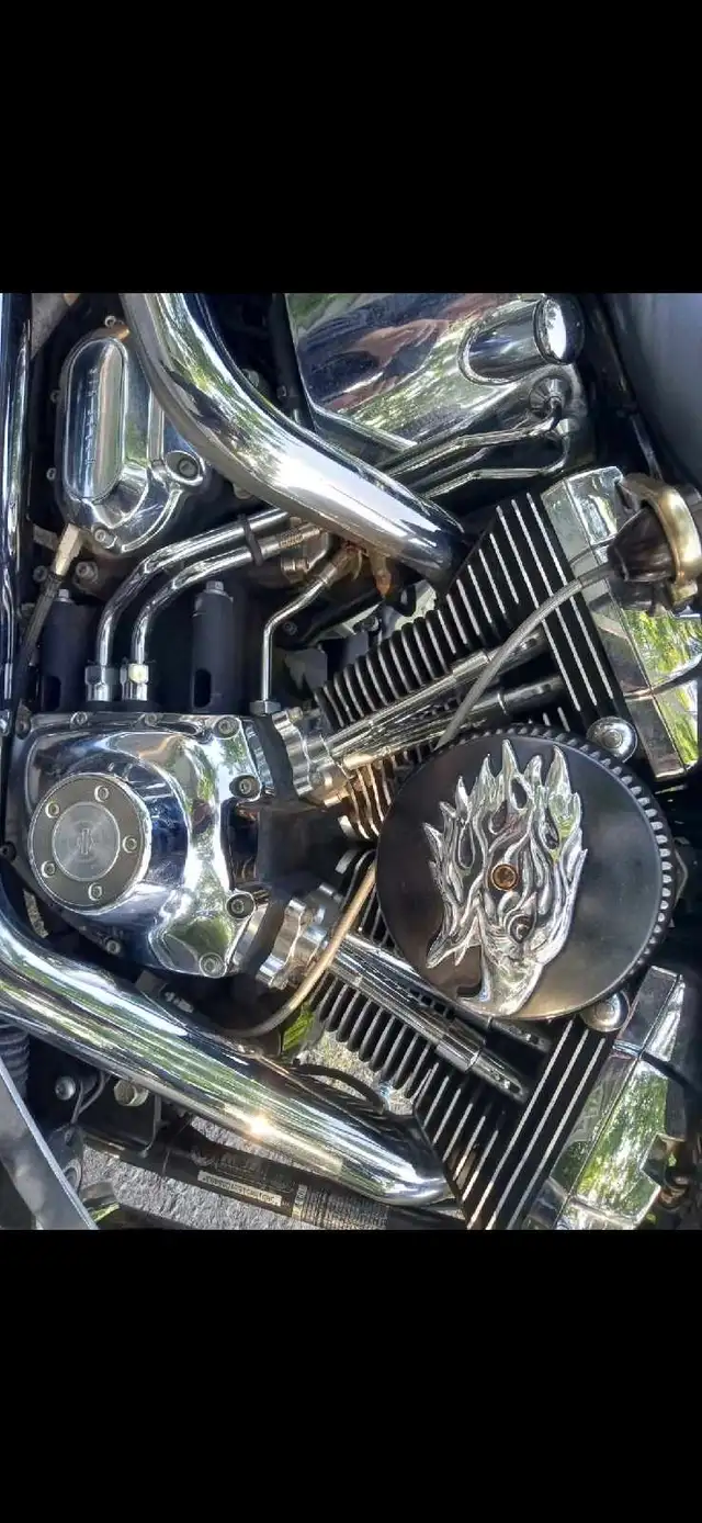 2009 Harley Davidson Heritage Softail in Street, Cruisers & Choppers in Ottawa - Image 8