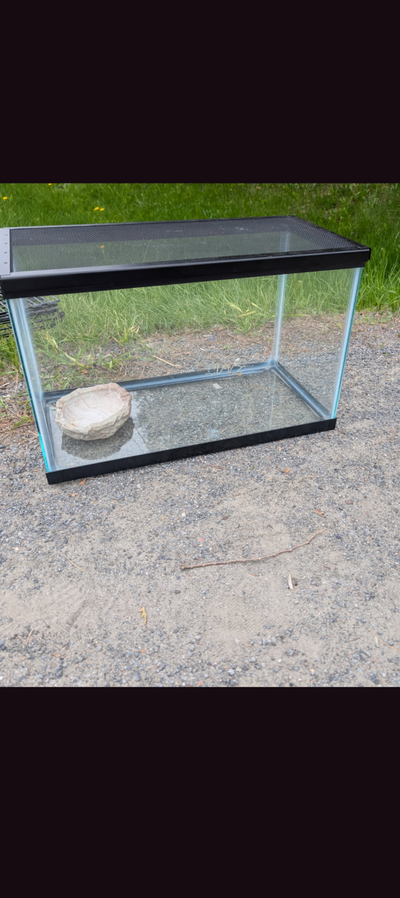 Terrarium à vendre, View more