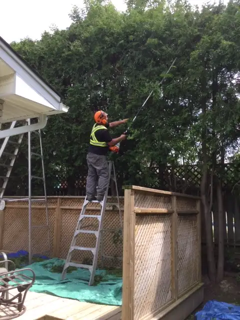 Deck or Fence Install or Repair OR Tree or Shrub Trim or Remove63347532273027122