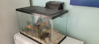 Small aquarium or reptile enclosure