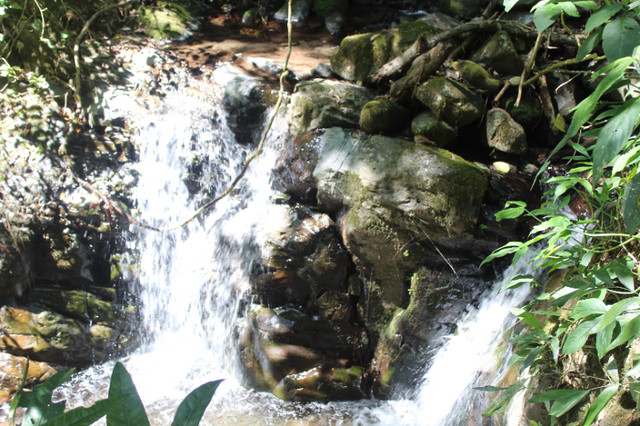 Paradise Is Waiting! Farm with Waterfall Access in Panama! in Land for Sale in Regina - Image 2