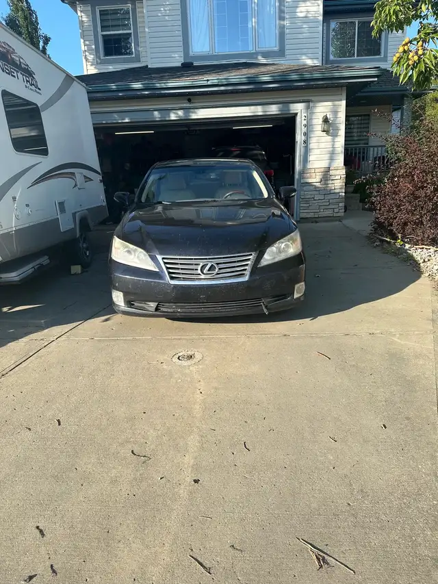  Front bumper painting needed