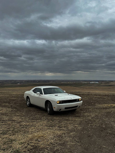 Dodge Challenger 2009