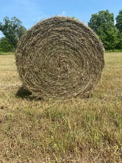 Round bales of hay, View more