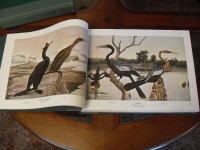 BIRDS AND TREES OF NORTH AMERICA BY REX BRASHER