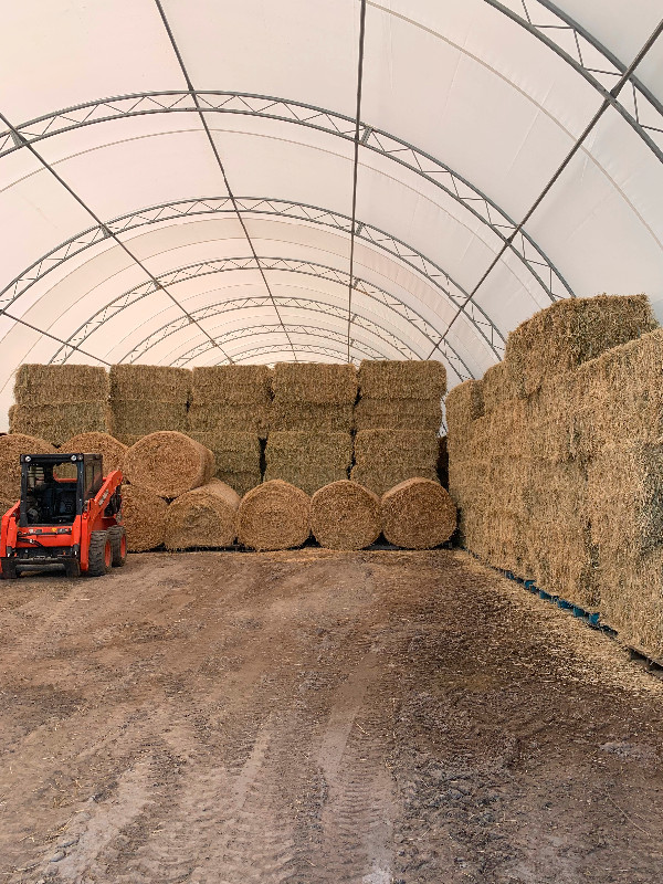 Hay for sale Livestock Brantford Kijiji