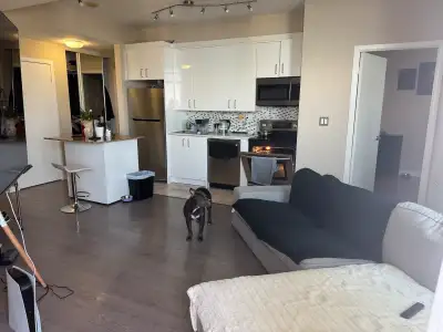 Room for Rent in 2-Bedroom Apartment