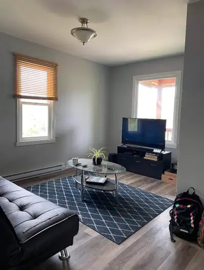Three bedroom pet friendly