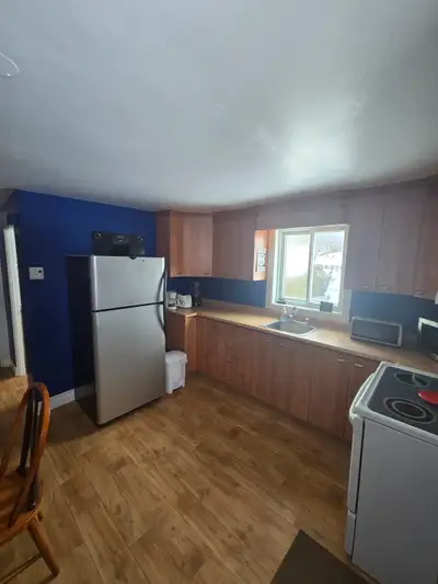 Dispo. le 1 Mars, logement 4 1/2 sur la rue Ste-Marie Sud à Chicoutimi-Nord , à quelques pas de tous...