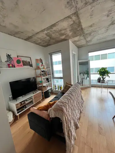 Furnished 1 bed, 1 bathroom luxury condo downtown Montreal