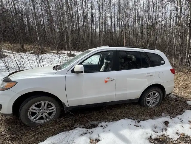 2010 Santa Fe64959943389313120