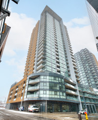 1 bdrm condo for rent