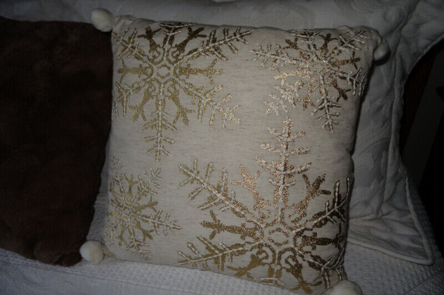 Three (3) Accent Pillows in Home Décor & Accents in Kamloops - Image 3