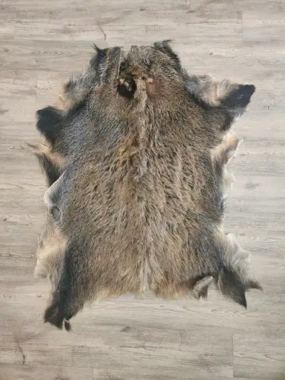 Boar hide rug, View more