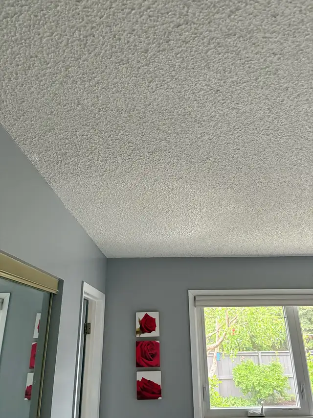 Professional Ceiling Texturing | Popcorn & Knockdown | Repairs572417991603005447