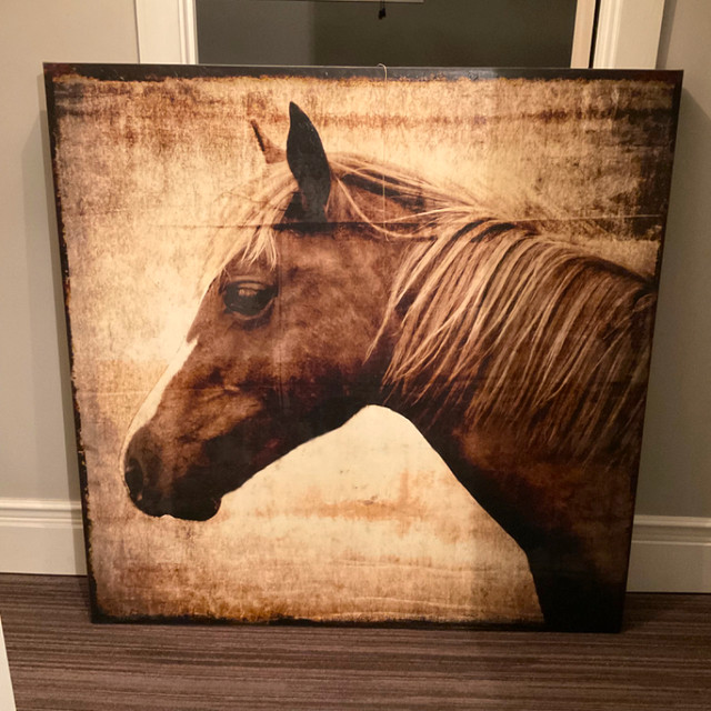 Canvas  Horse picture in Arts & Collectibles in St. Catharines