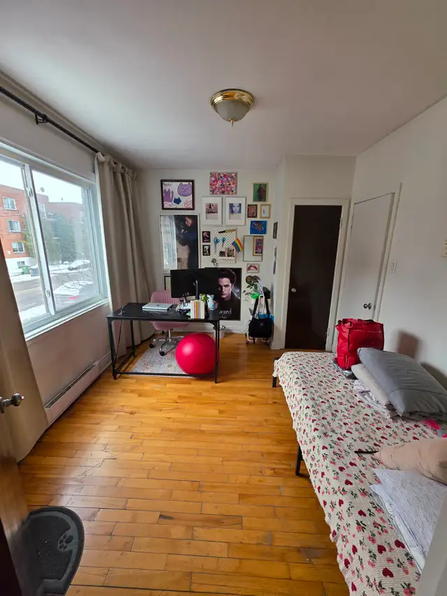 Photo 4