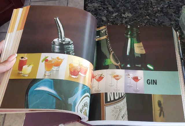 500 cocktail recipes BOOK hardcover  dans Essais et biographies  à Laval/Rive Nord - Image 3