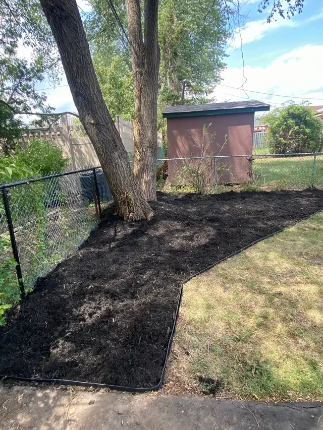 Scarborough, East York and Leaside Grass Cutting in Lawn, Tree Maintenance & Eavestrough in City of Toronto - Image 5