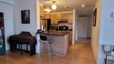 Private Bedroom for Rent in a 4½ | $847/month | Saint-Henri area