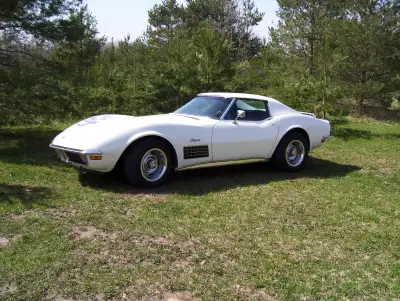 I am looking for a 1970 or 1971 Corvette. No Junk!