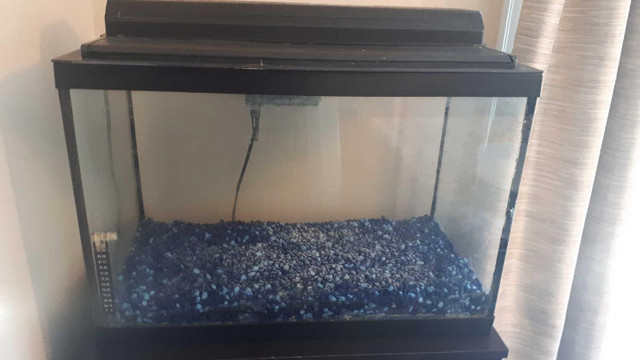 20 GALLON FISH TANK AND STAND ( MUST GO TOGETHER ) in Accessories in Victoria