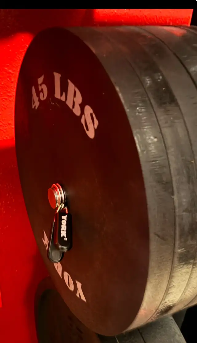 Barbell plates in Exercise Equipment in Portage la Prairie - Image 2