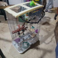 Large cage with toys
