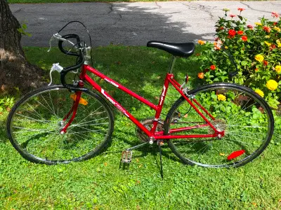 Vintage Pro Tour 19” Bike – Indoor Kept – New Tires in Road in, View more