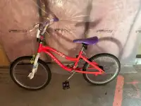 Magna BMX Style Bike Youth frame 10”