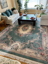 Area Rug - Plush High Pile living area rug