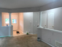 Painter - Professional Affordable Painting