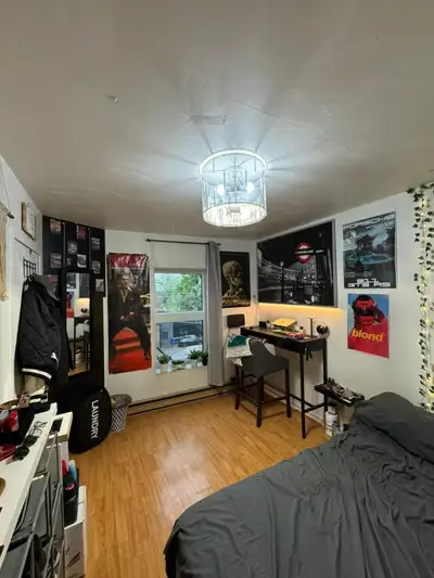 chambre a louer au centre ville
