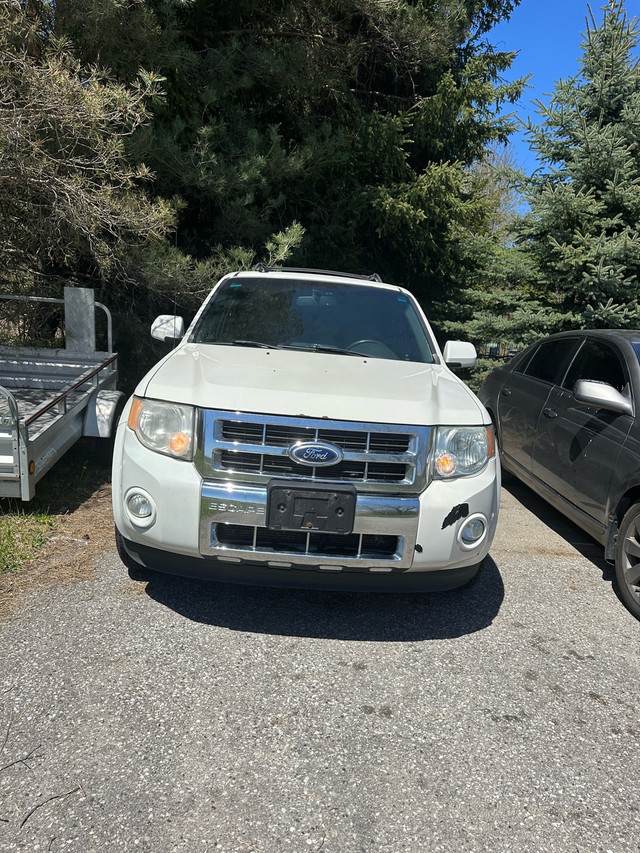 As-Is 2012 Ford Escape in Cars & Trucks in Mississauga / Peel Region - Image 4