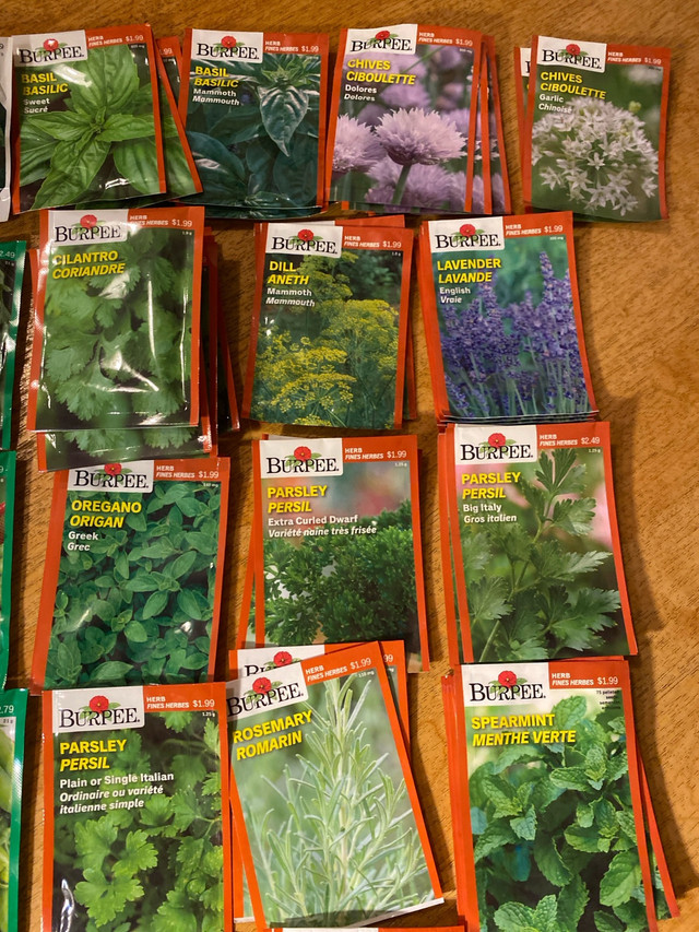 New herbs vegetables flower seed packs for home gardening in Plants, Fertilizer & Soil in Ottawa - Image 3