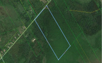 96 +/- Acres of untouched land in Augusta with bunkie cabin