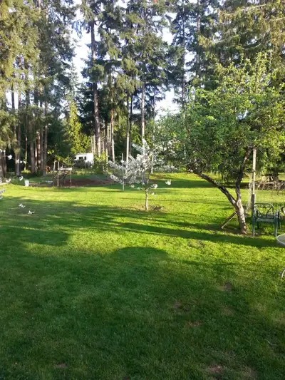 single working person wanted to share a large house with owner. everything included on an acreage 7...