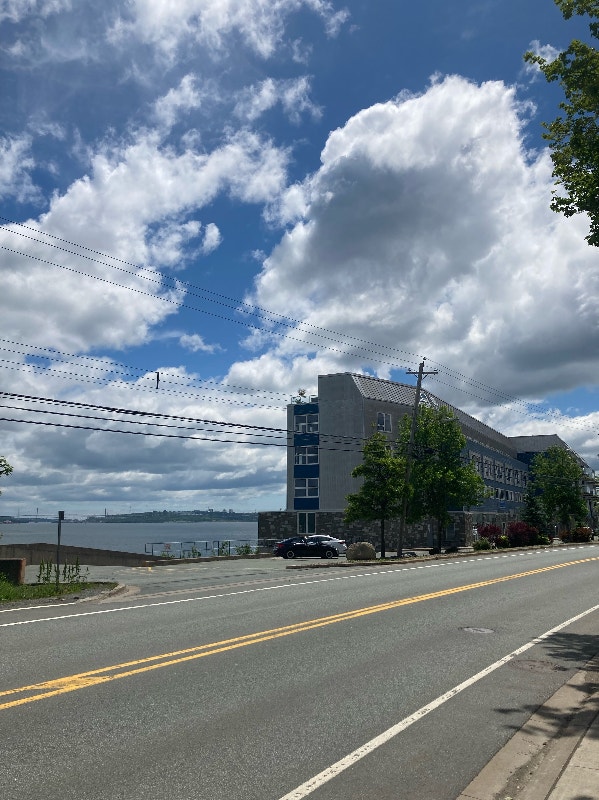 the wyatt apartments bedford