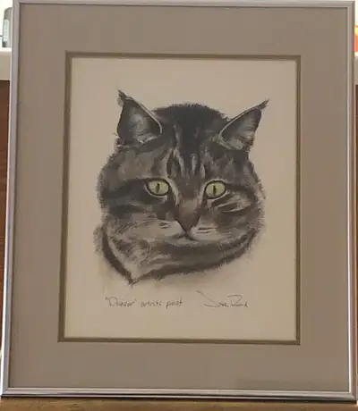 A lovely artist proof watercolour of "Digger" the cat with green eyes. Framed with silver metal fram...