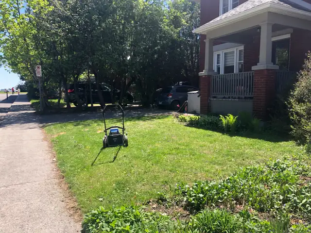 Yard work472757022145259521
