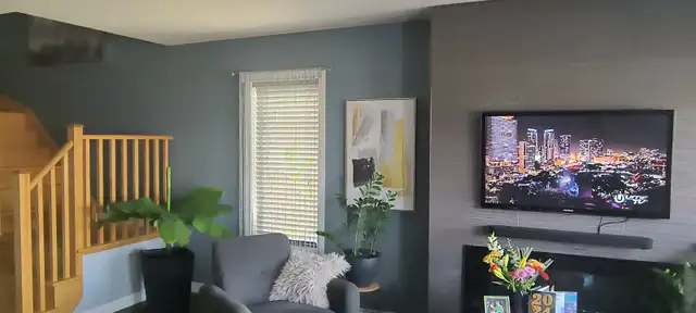 Professional Painting services !63007357619331121
