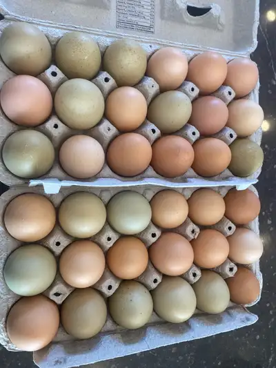 farm fresh eggs, View more